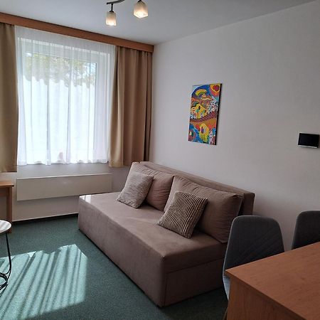 Apartman Palacky キヨフ エクステリア 写真