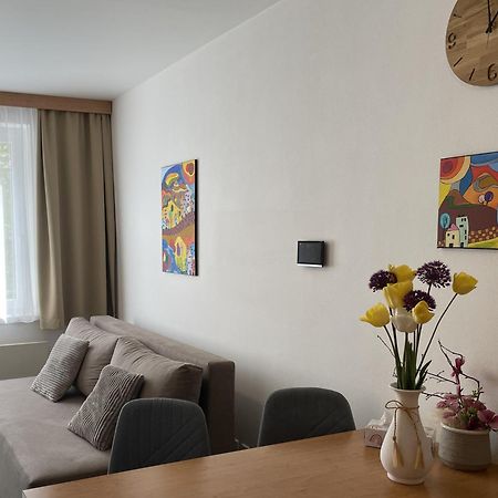 Apartman Palacky キヨフ エクステリア 写真